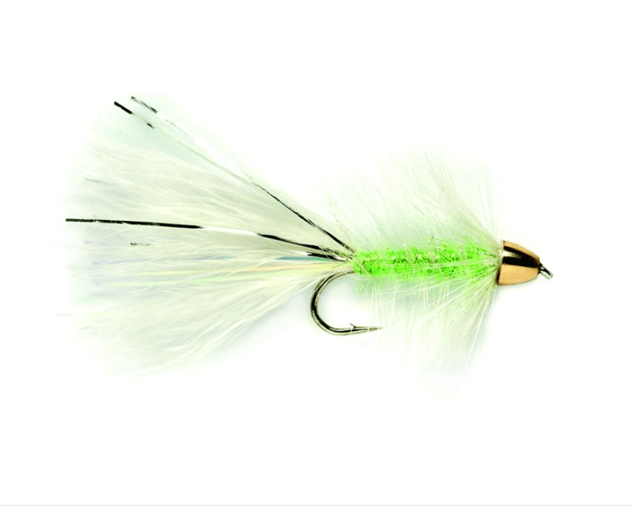 GOLDEN BULLET CAT'S WHISKER sz. 8