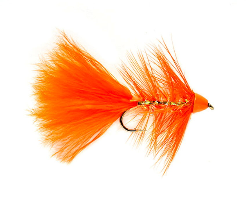 GOLDEN BULLET ORANGE #10