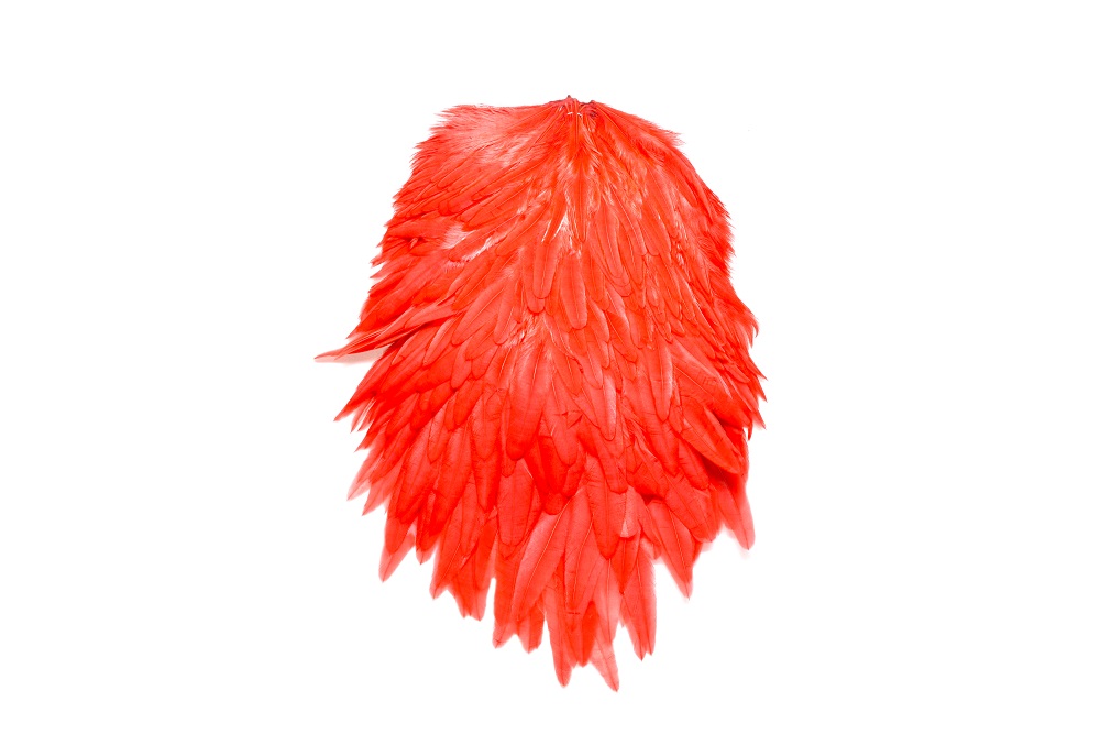 FutureFly Signature Vištos Balnas 1/4 - Red