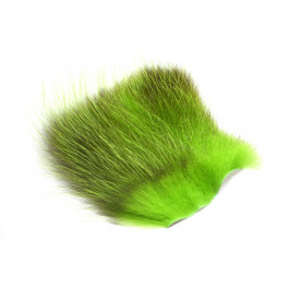 Chartreuse 1/4