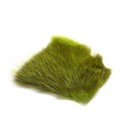 BG Green 1/4