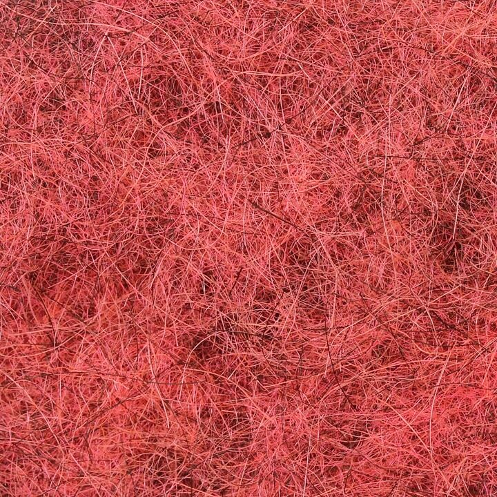 Sybai Nymph Dubbing Old Pink