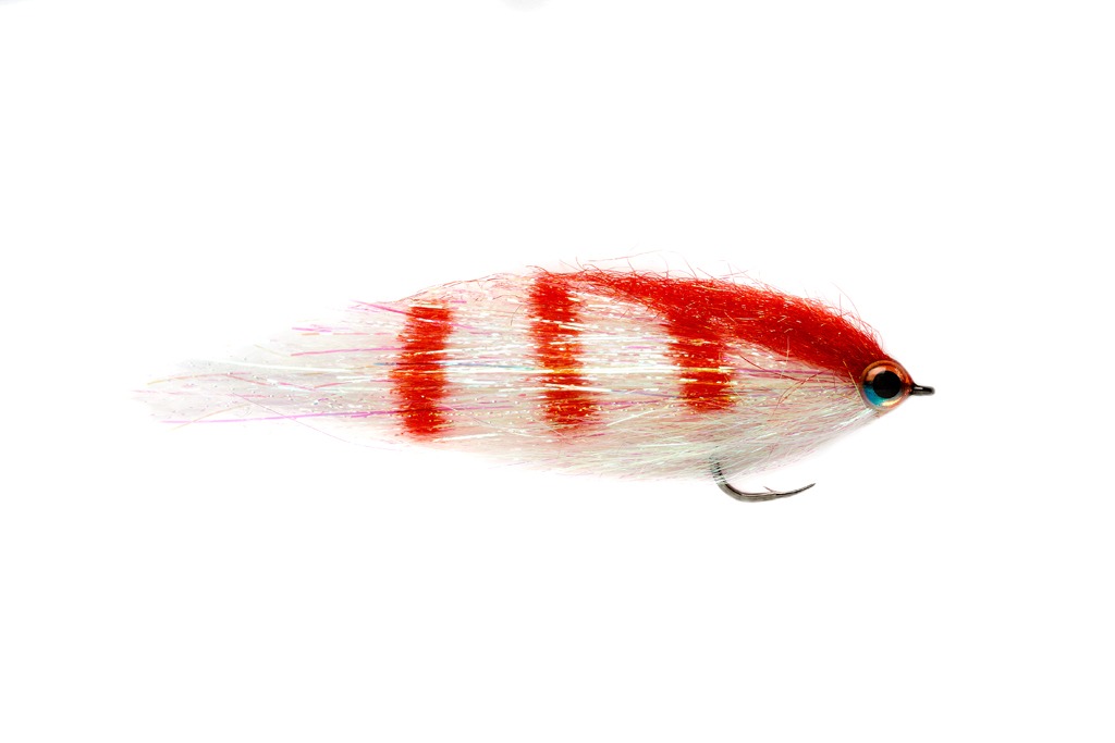 CLYDESDALE RED PERCH 1/0