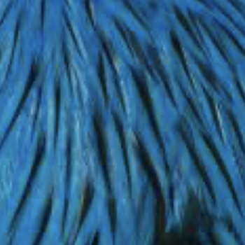 Whiting - American rooster 1/4 - Badger King Fisher Blue