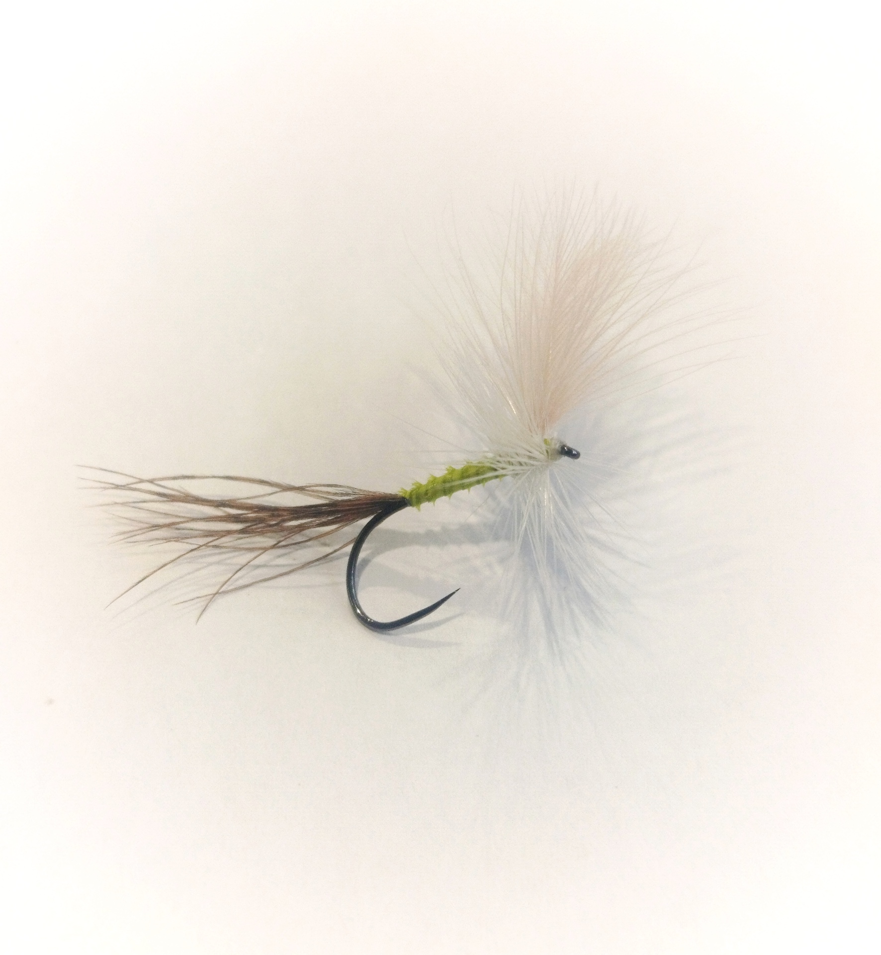 Biot Body mayfly - #10