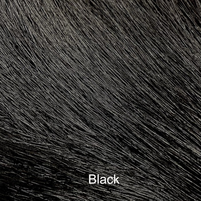 Elnio uodega vidutinis- Veniard - Black