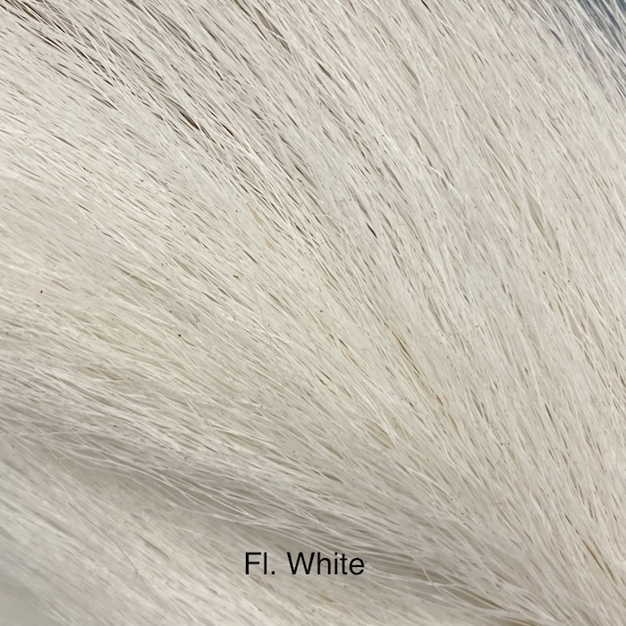 Elnio uodega didelis - Wapsi - Fl. White