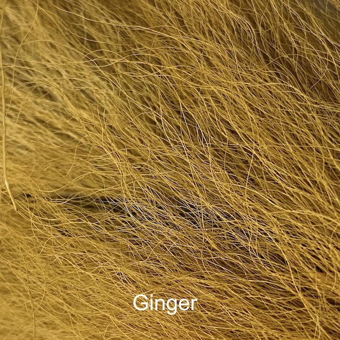 Elnio uodega didelis - Wapsi - Ginger