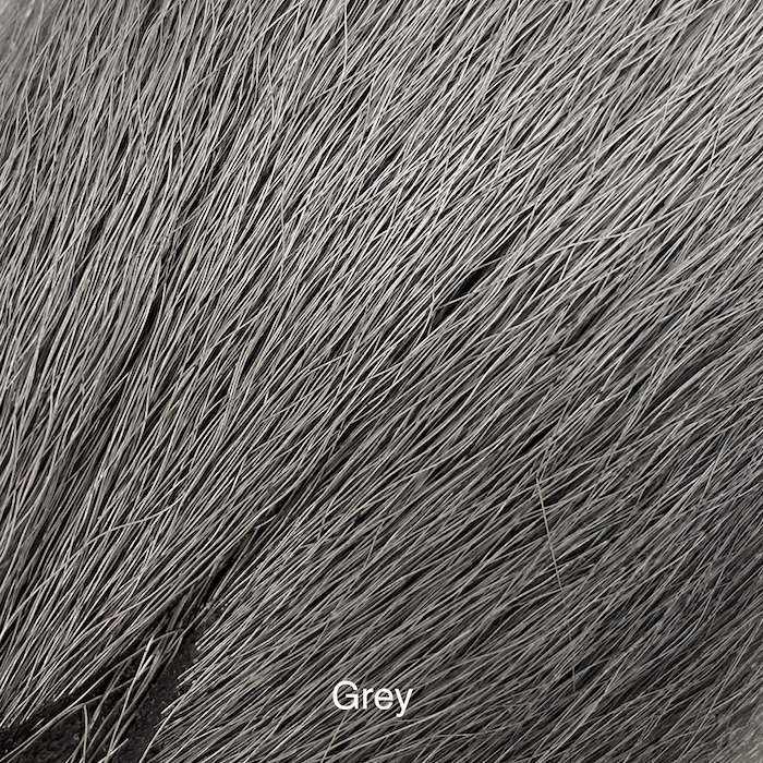 Elnio uodega vidutinis- Veniard - Grey