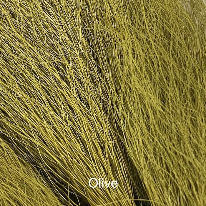 Elnio uodega mažas - Wapsi - Olive