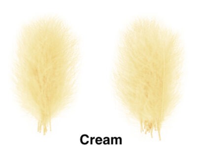 CDC Plunksnos Super Select - WAPSI - Cream