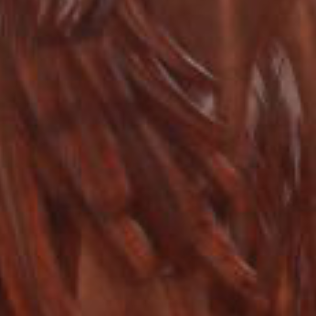 Whiting - American rooster 1/4 - Coachman brown