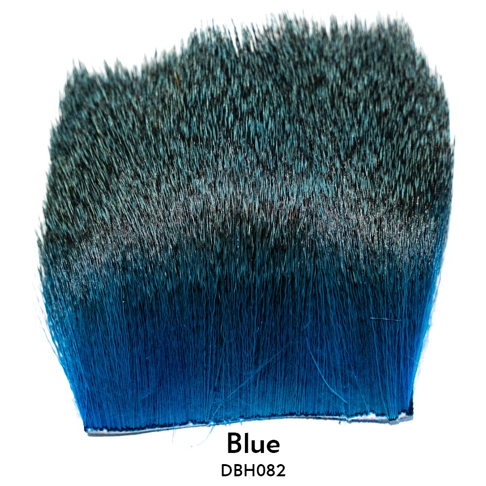 Elnio kailis - Blue
