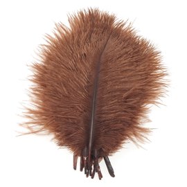 Stručio Plunksnos - Hareline - Brown