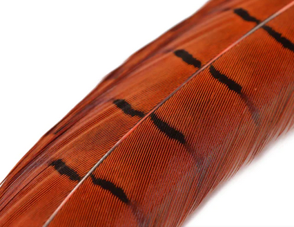 FIERY BROWN