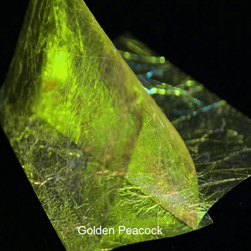 Sybai - Fine Flashback - Golden Peacock