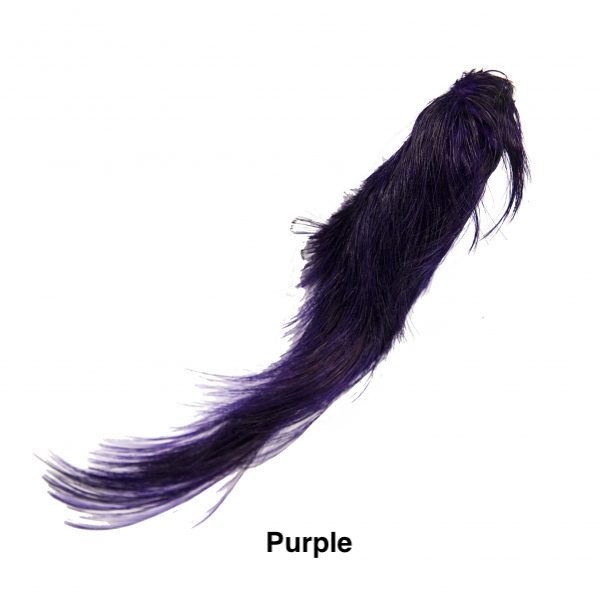 Auksinis fazanas - Purple