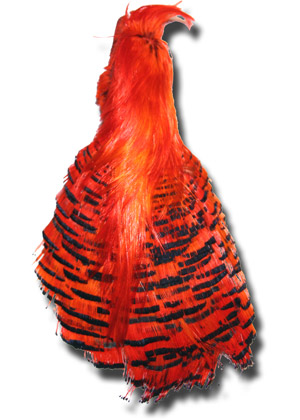Auksinis fazanas kaklas - Red
