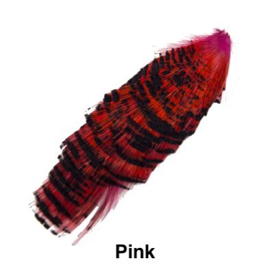Auksinis fazanas kaklas - Pink