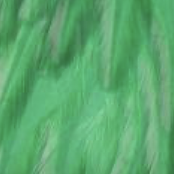 Whiting - American rooster 1/4 - Highlander green