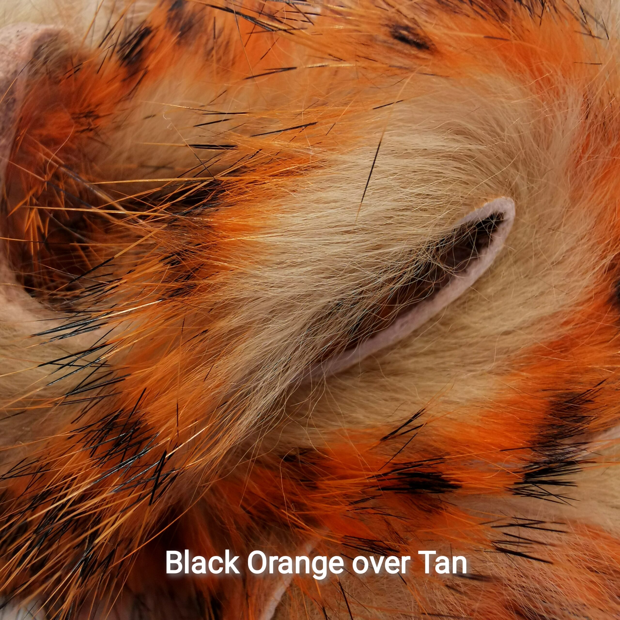 Zonkeris spalvotas - Hareline - Black Orange over Tan