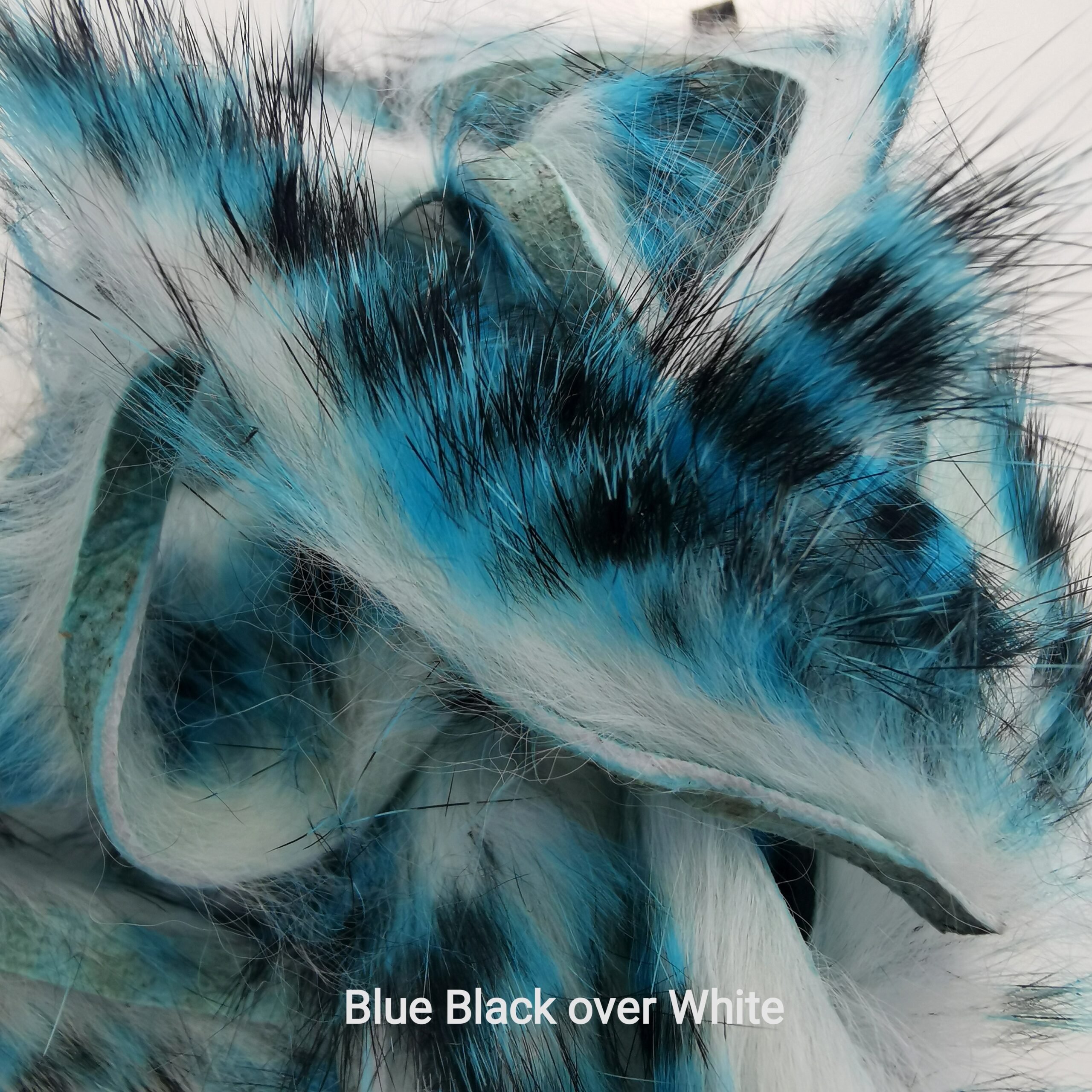 Zonkeris spalvotas - Hareline - Blue Black over White
