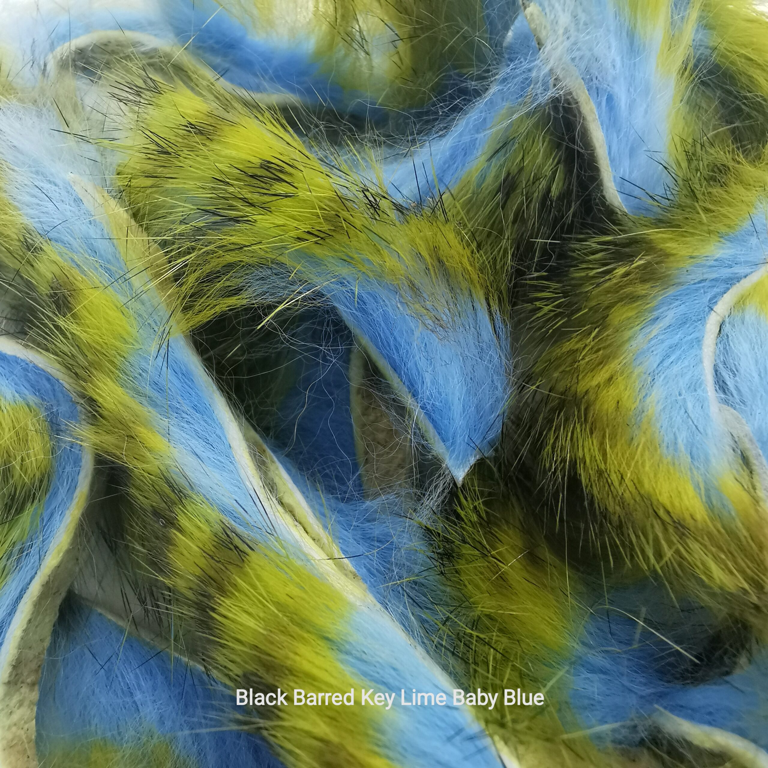Zonkeris spalvotas - Hareline - Black Barred Key Lime Baby Blue