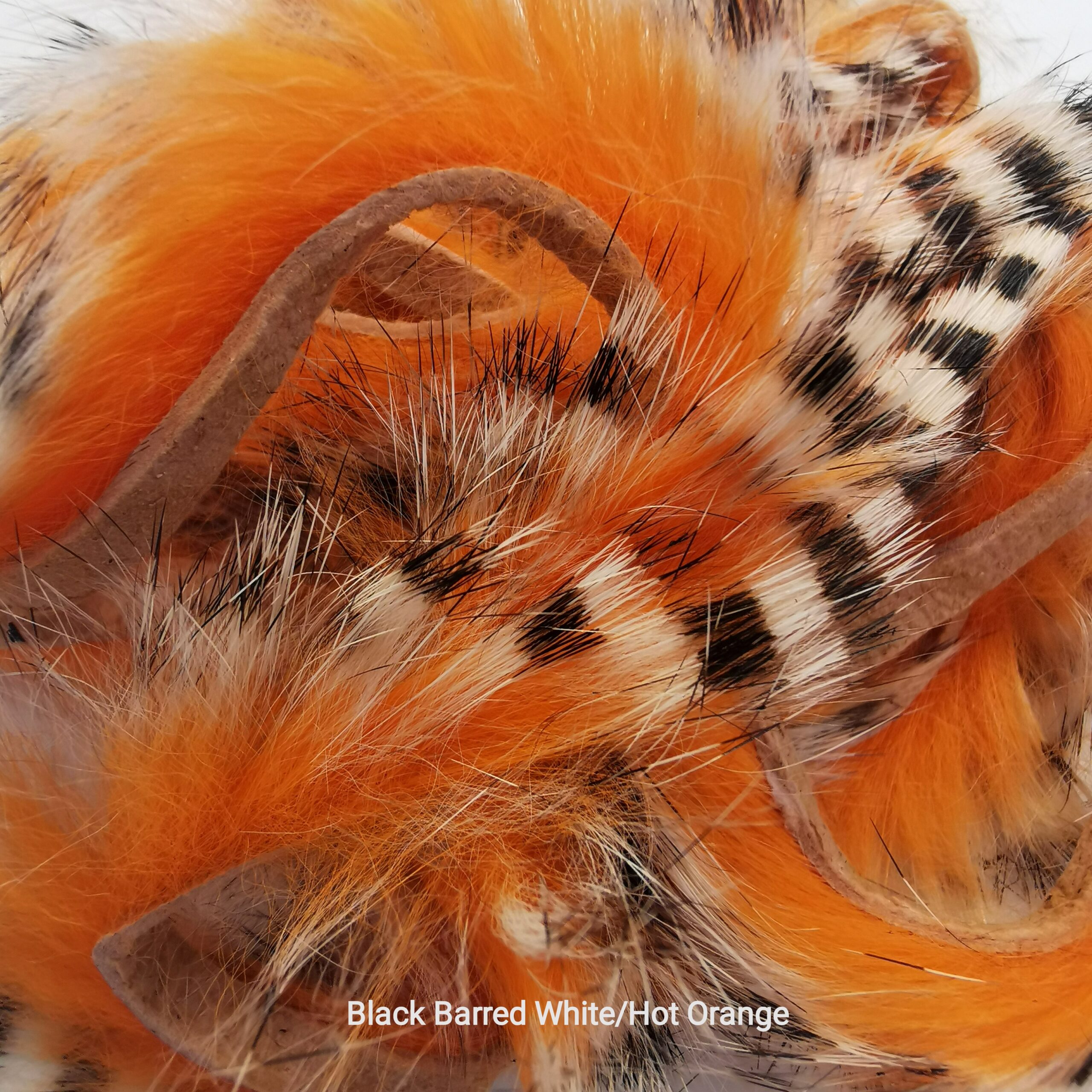 Zonkeris spalvotas - Hareline - Black Barred White/Hot Orange