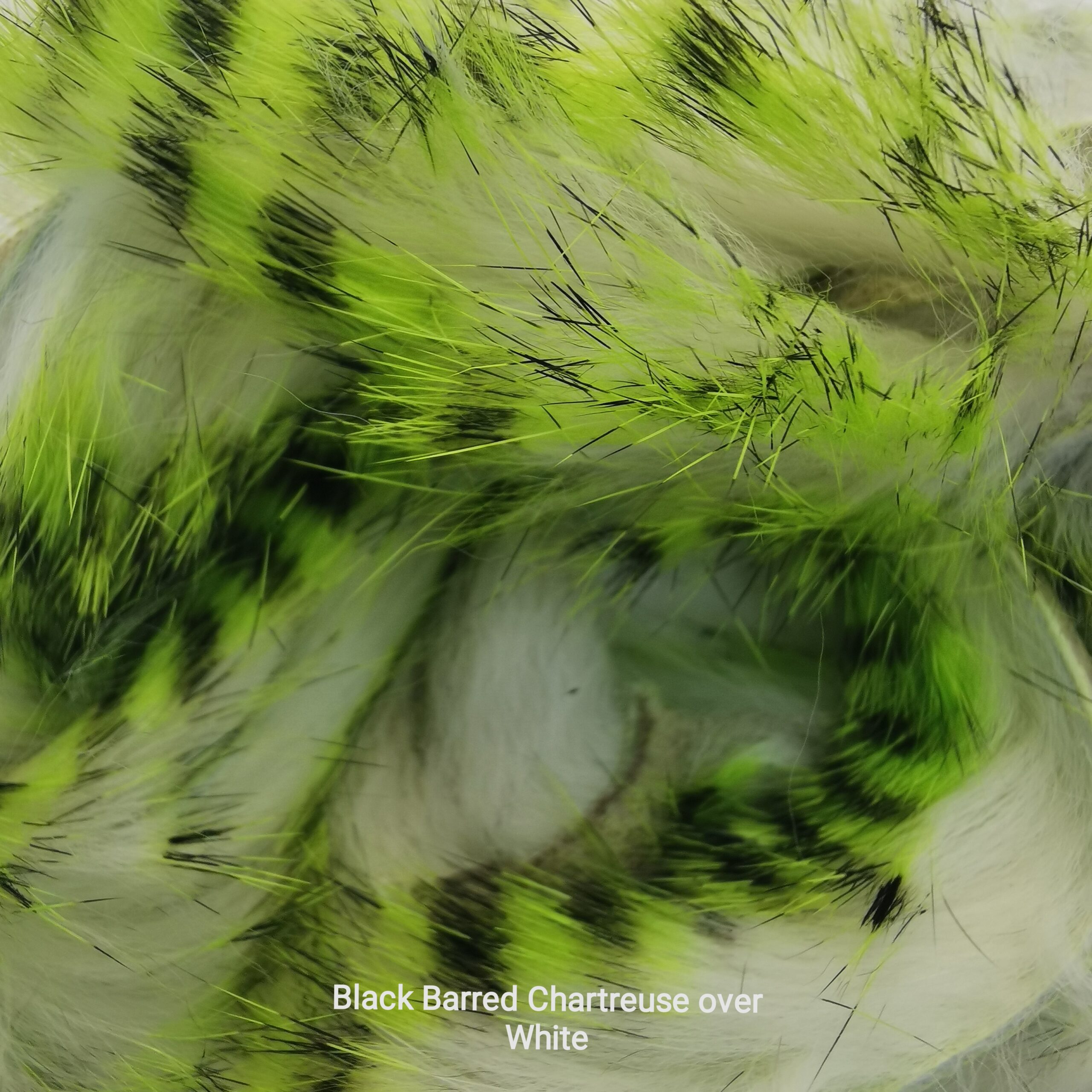 Zonkeris spalvotas - Hareline - Black Barred Chartreuse over White