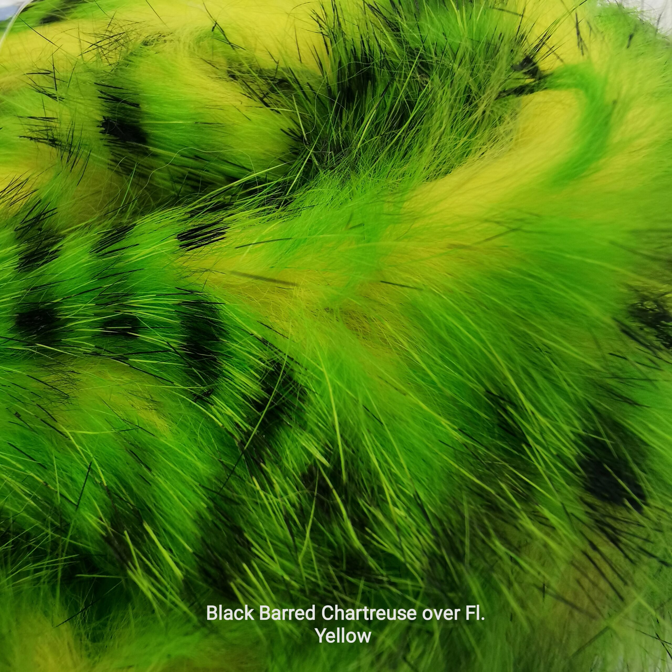 Zonkeris spalvotas - Hareline - Black Barred Chartreuse over Fl. Yellow