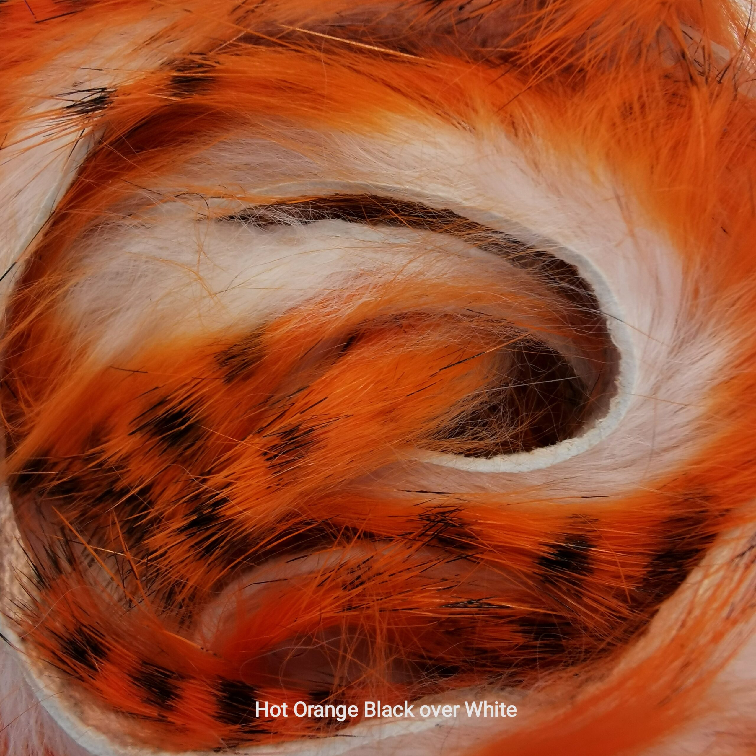 Zonkeris spalvotas - Hareline - Hot Orange Black over White