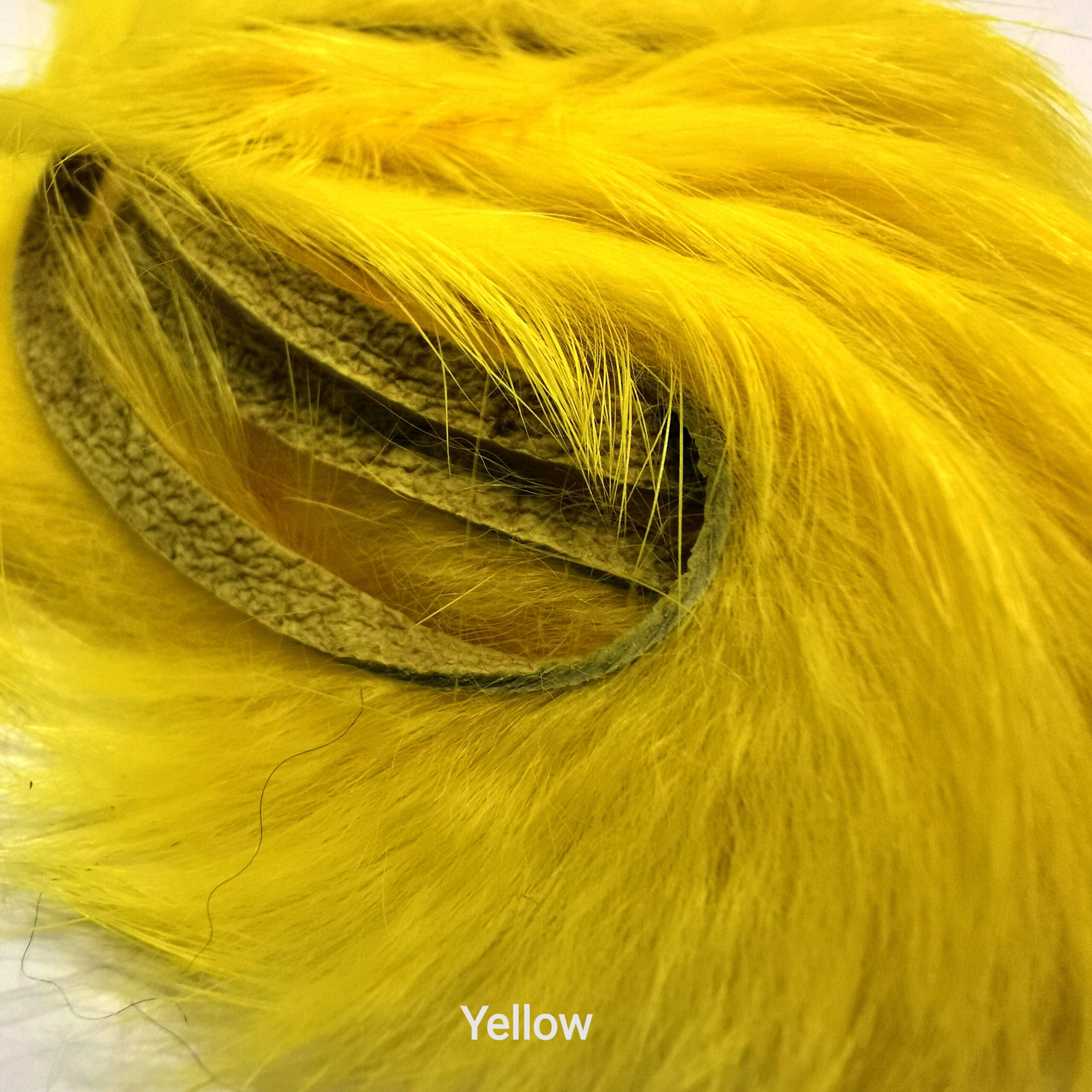 Zonkeris - Veniard - Yellow