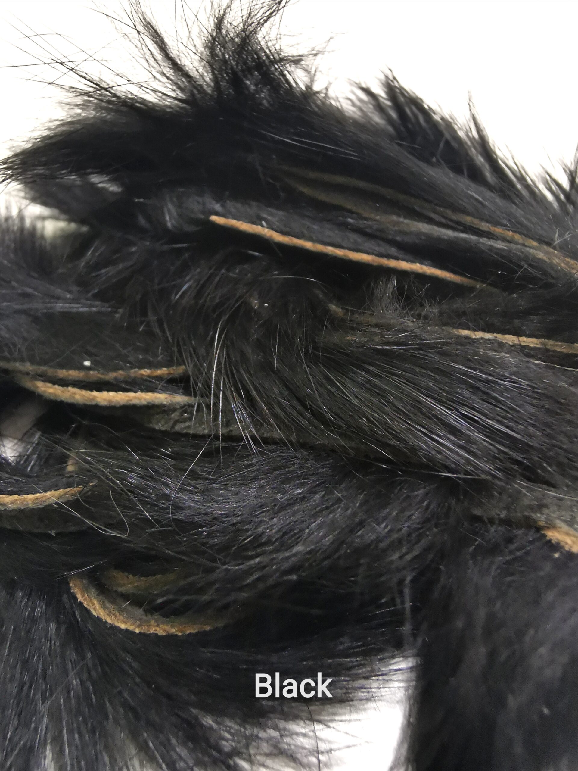 Zonkeris - Veniard - Black