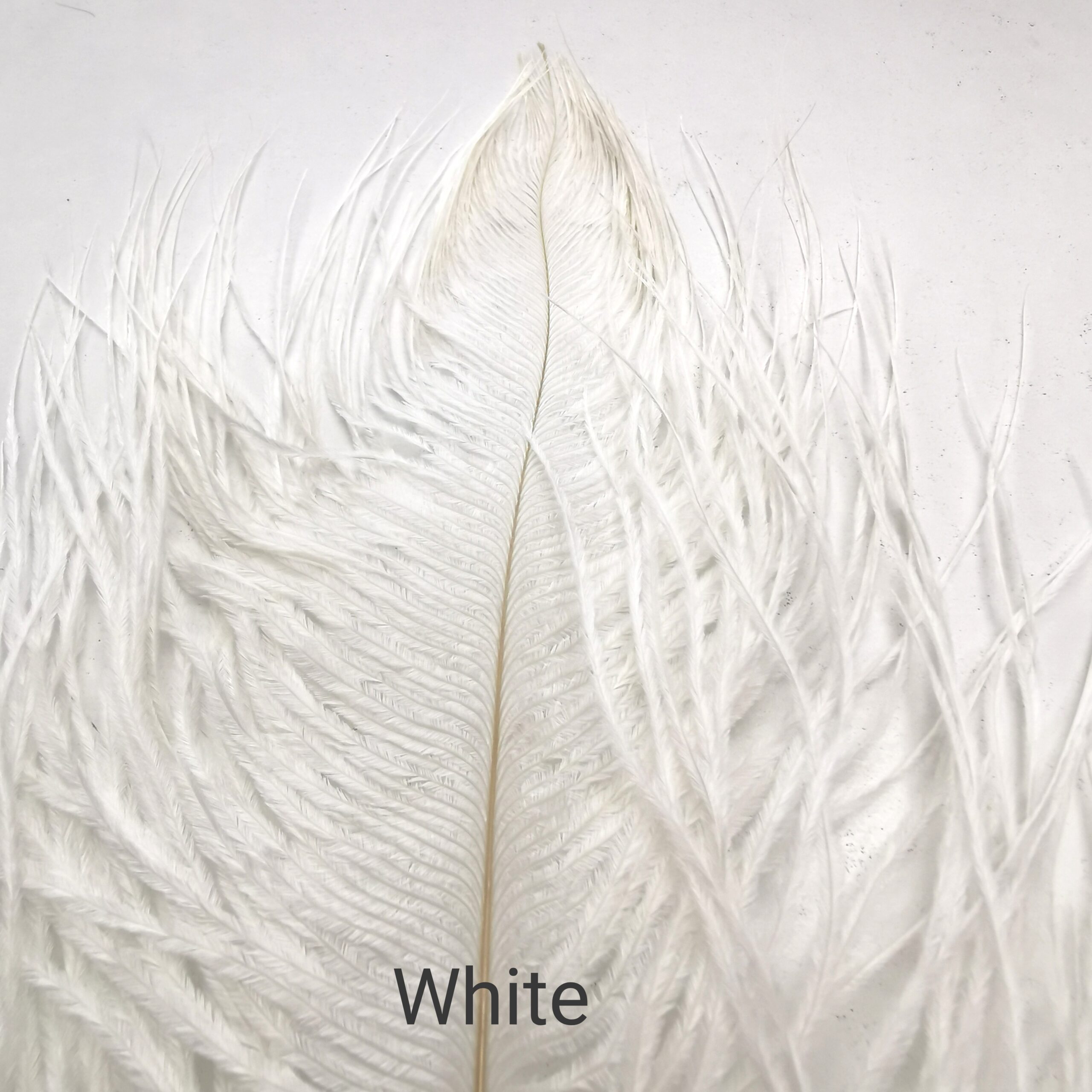 Stručio Plunksnos - Hareline - White