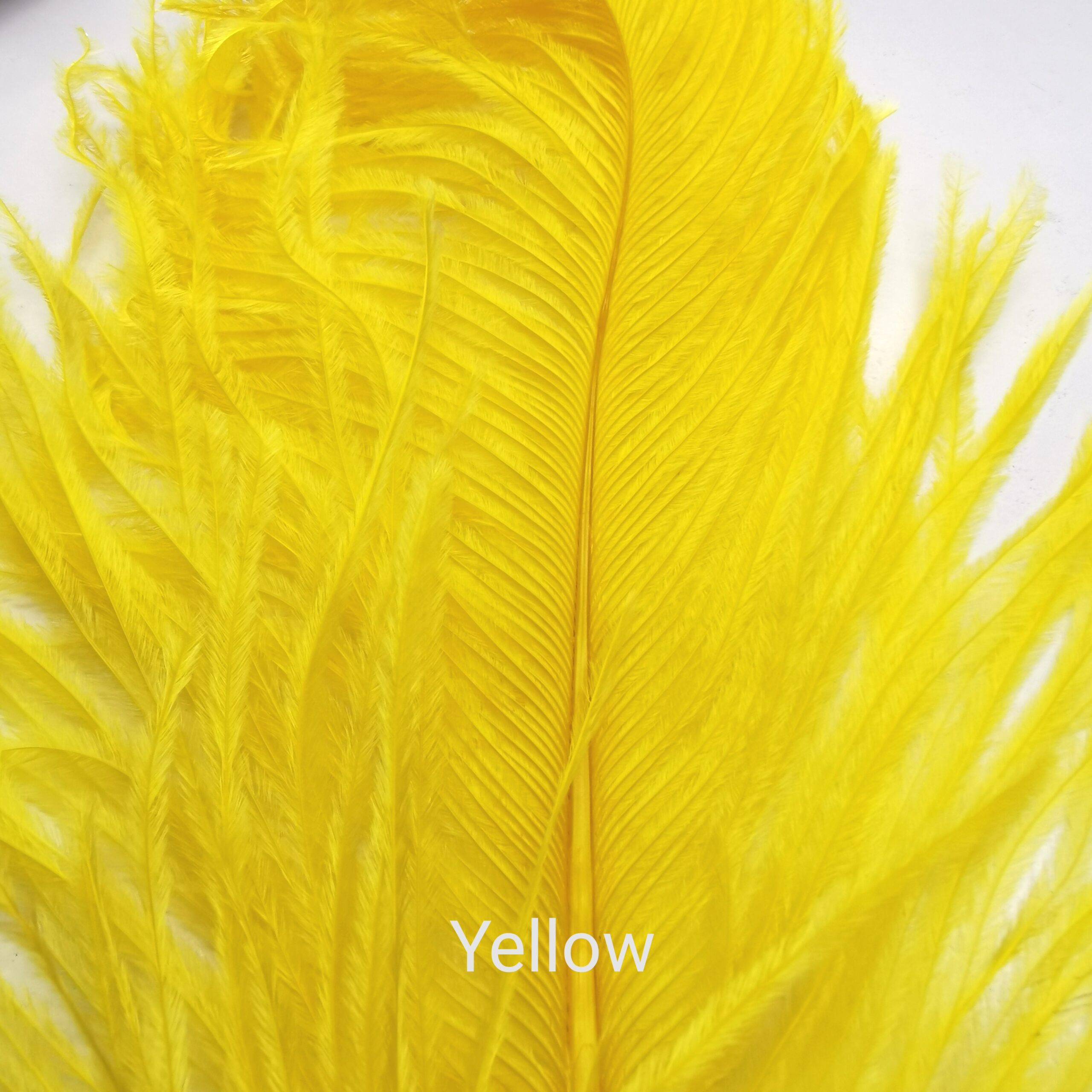 Stručio Plunksnos - Hareline - Yellow