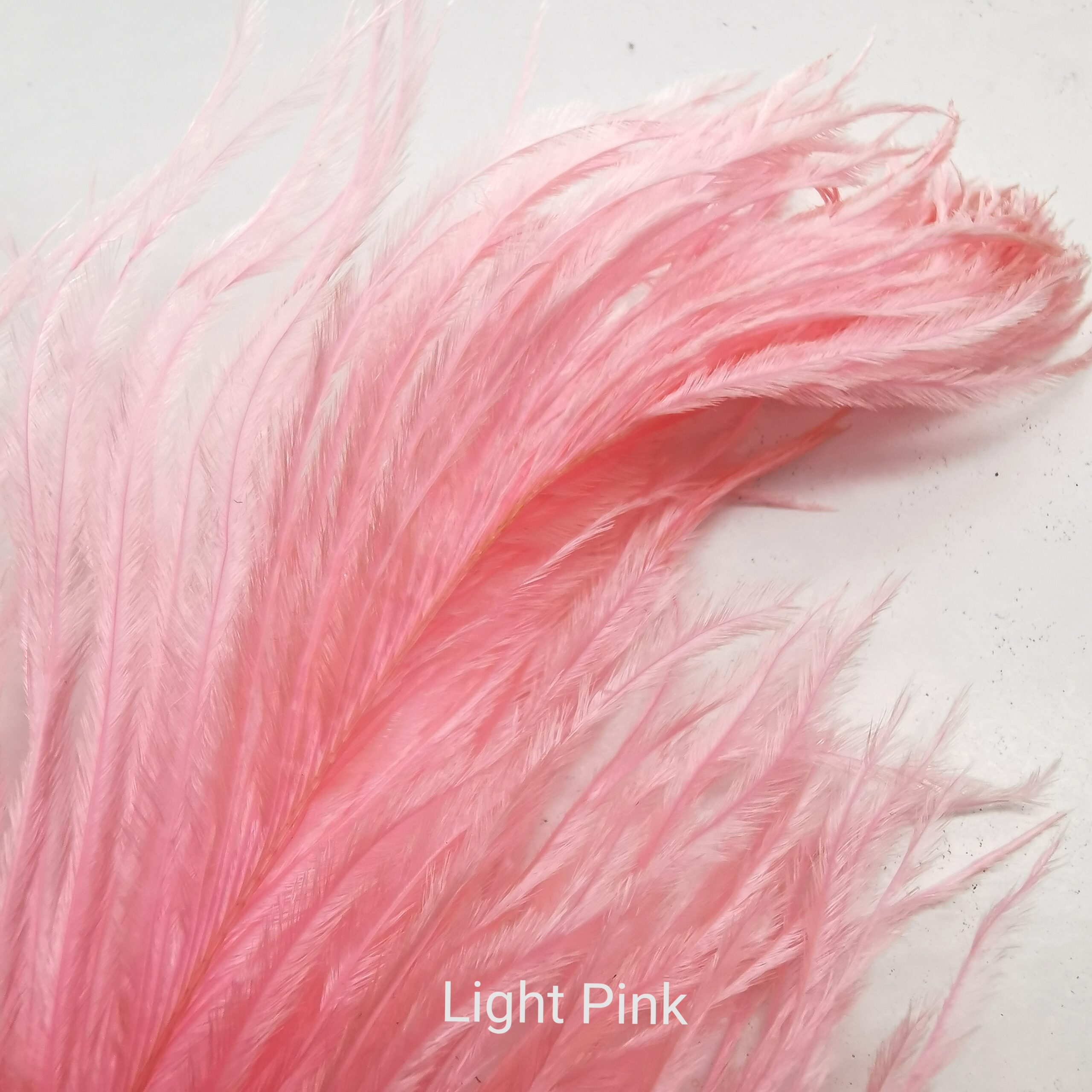 Stručio Plunksnos - Hareline - Light Pink