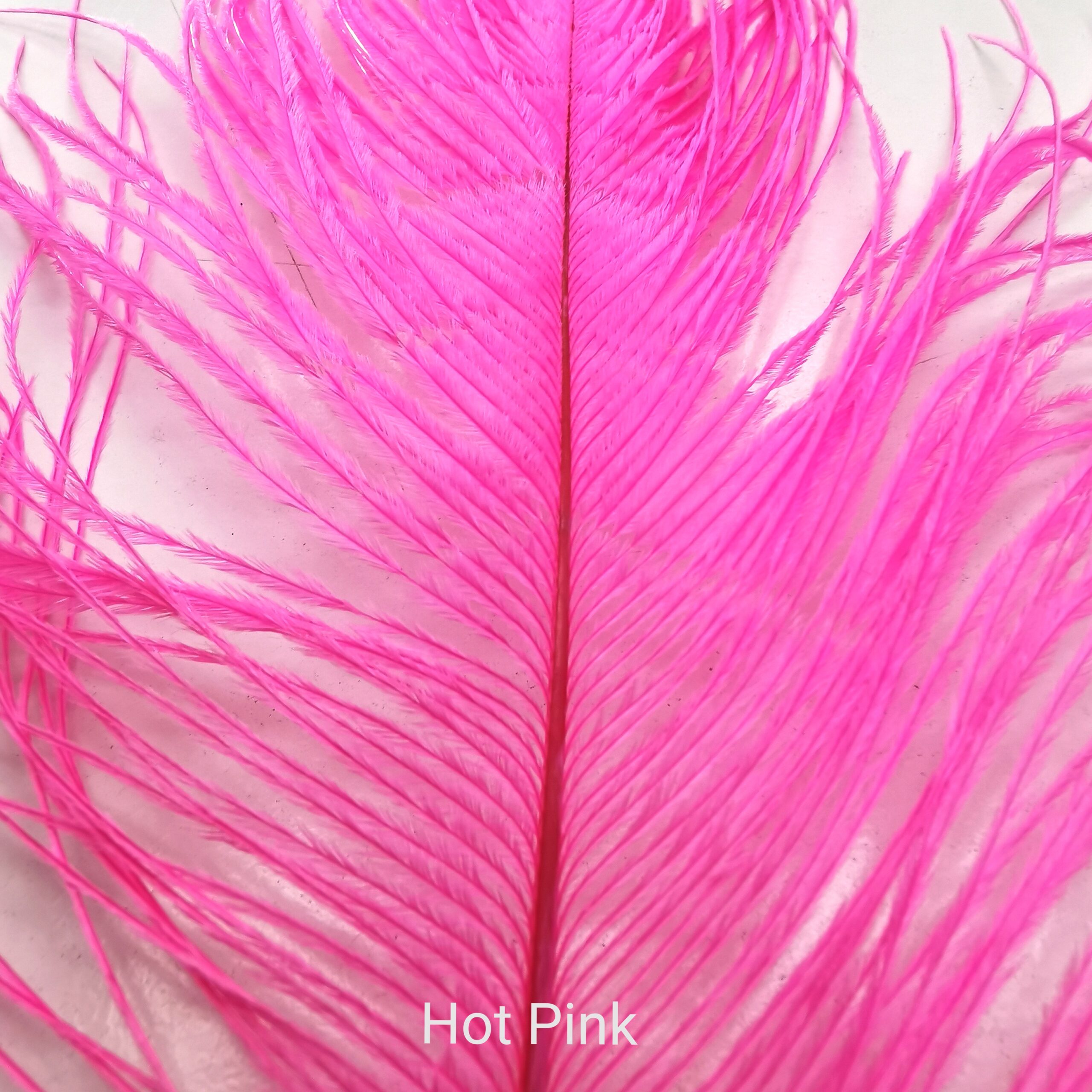 Stručio Plunksnos - Hareline - Hot Pink
