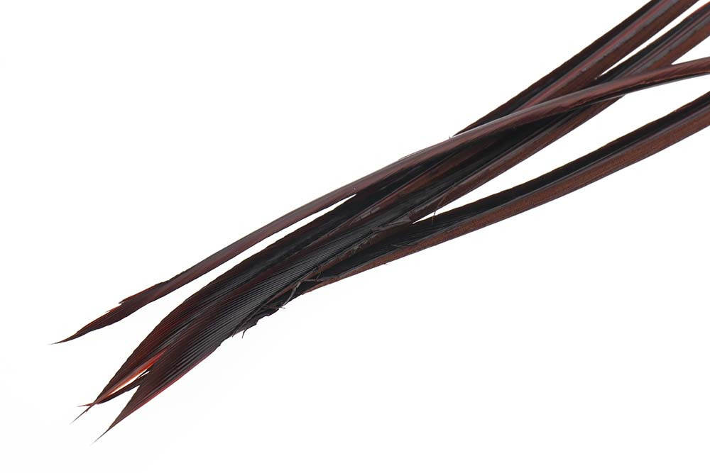 Turkey Biot - Veniard - Mahogany Brown