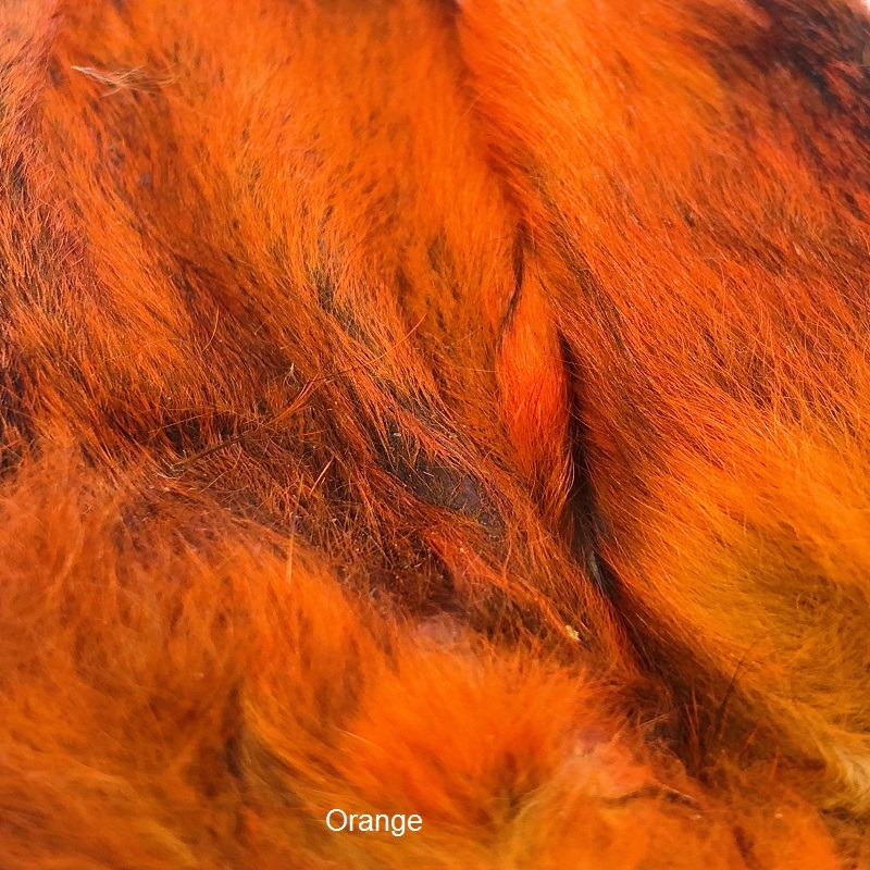 Kiškio Ausys - Orange