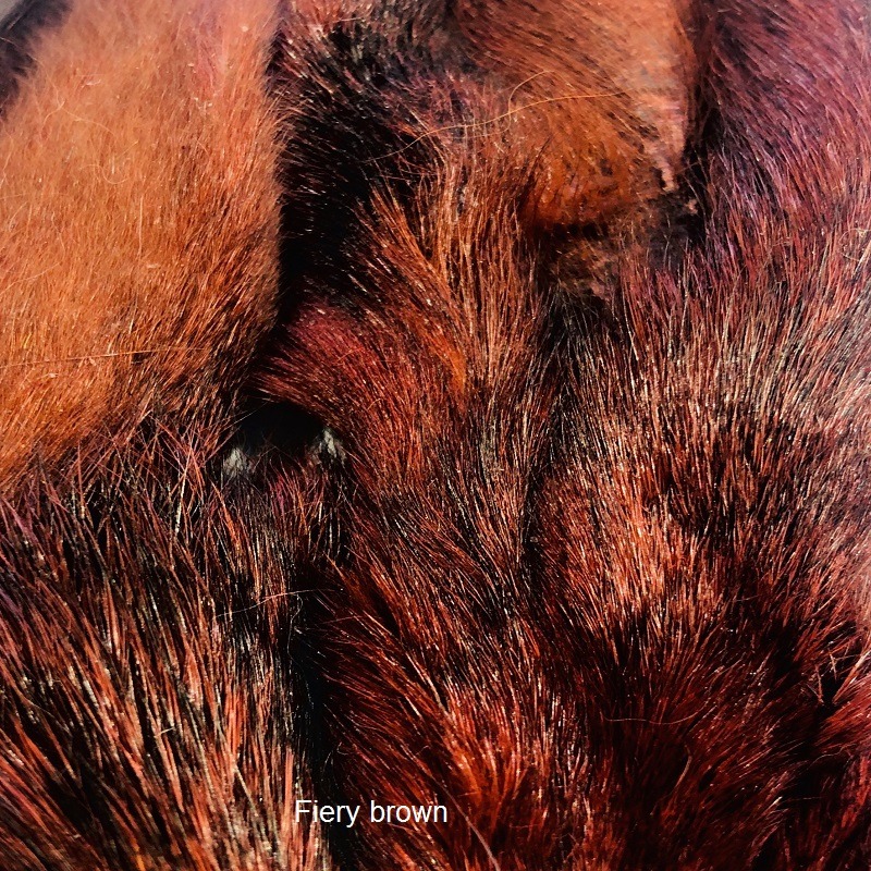 Kiškio Ausys - Fiery Brown