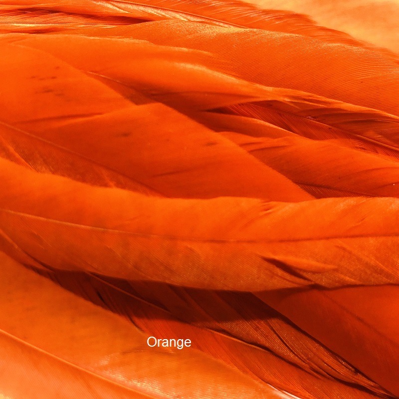 Pike Schlappen - Fly Dressing - Orange