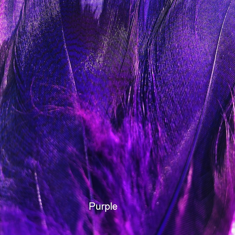 Wapsi  - Mallard Barred Large - Purple