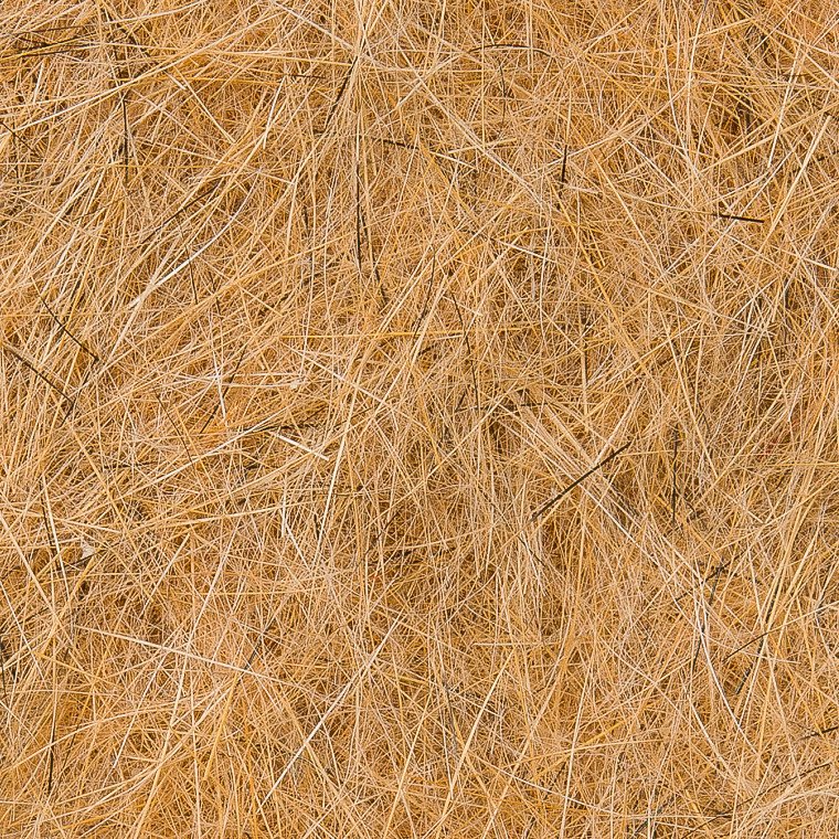 Wapsi Natural Fur - Fox Squirrel Belly