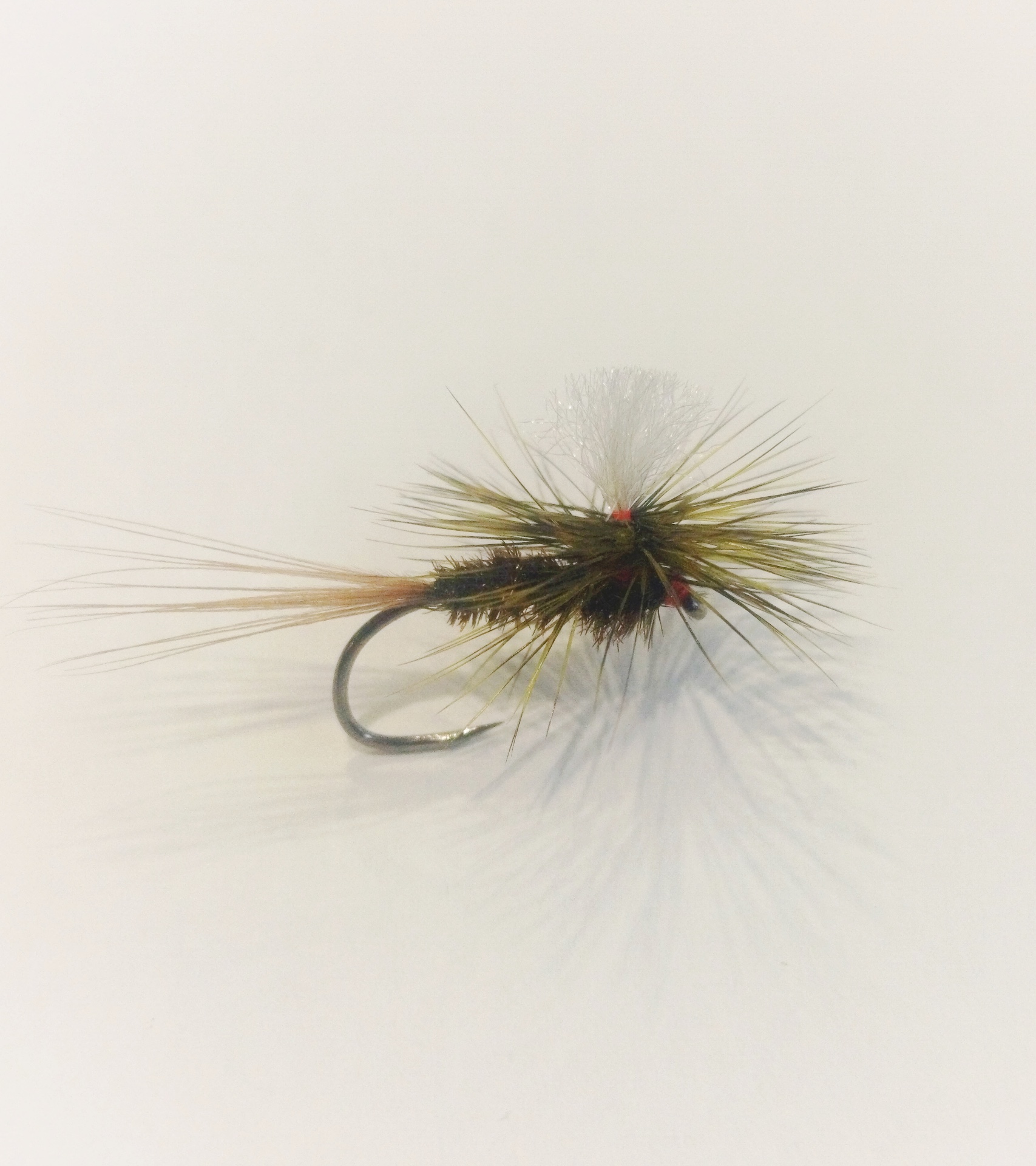 Peacock body parachute - #12