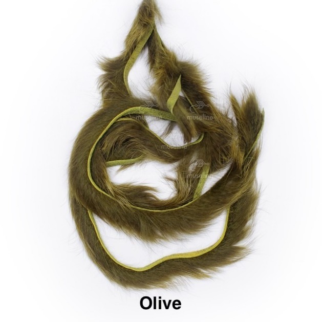 Zonkeris - WAPSI - Olive