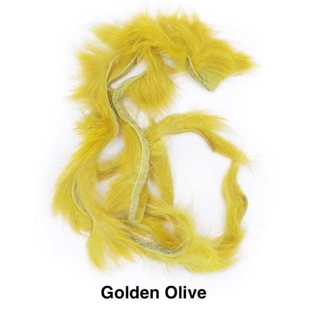 Zonkeris - WAPSI - Golden Olive