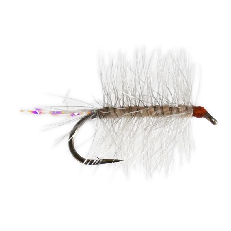 Griffith's Gnat Grey #16