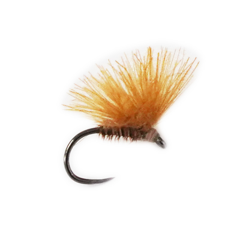 F-fly Cinamon (#20)