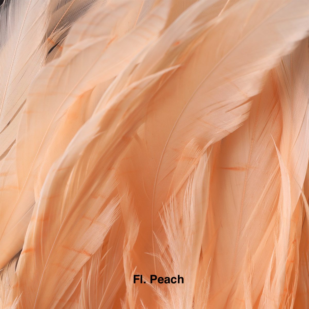 Hareline Schlappen 5-7" - Fl. Peach