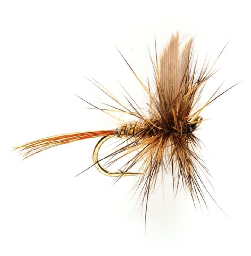Hare's Ear (GRHE)